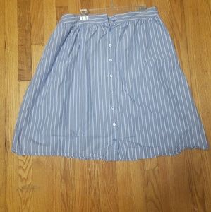 Blue and White Striped Skirt